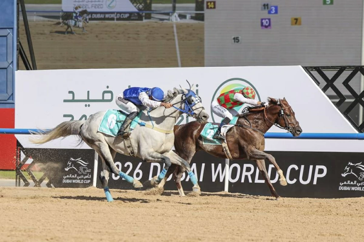 كأس دبي العالمي يجذب أقوى الخيول