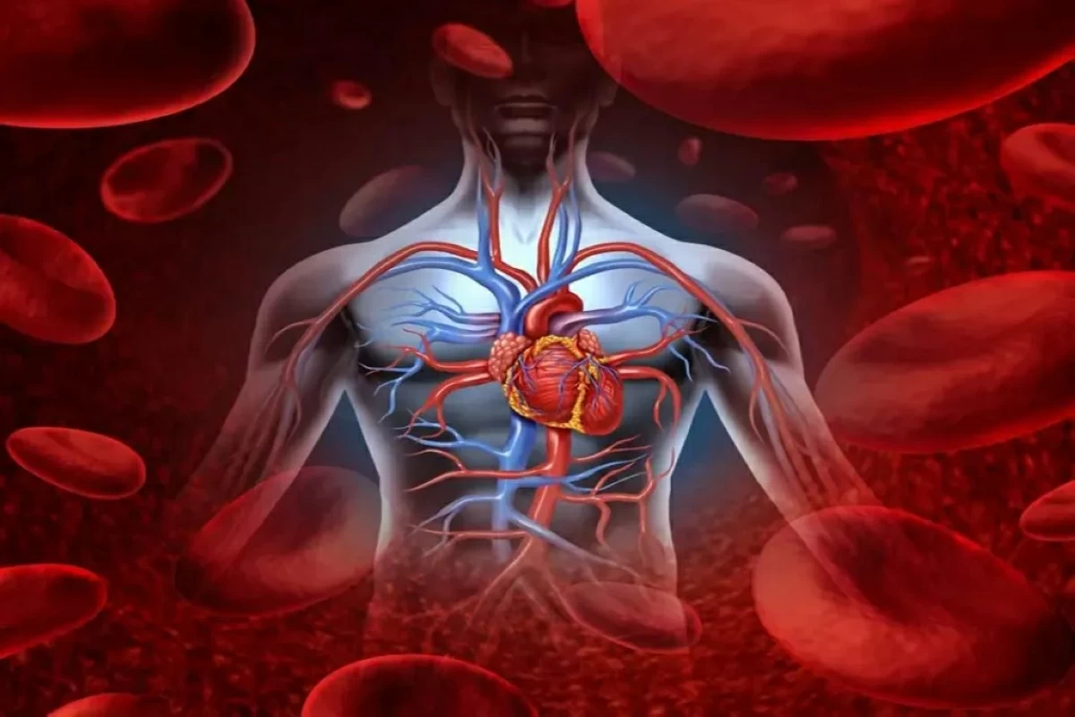 دواء للسكري يعالج فشل القلب بنسبة 80% #صحيفة_الخليج 