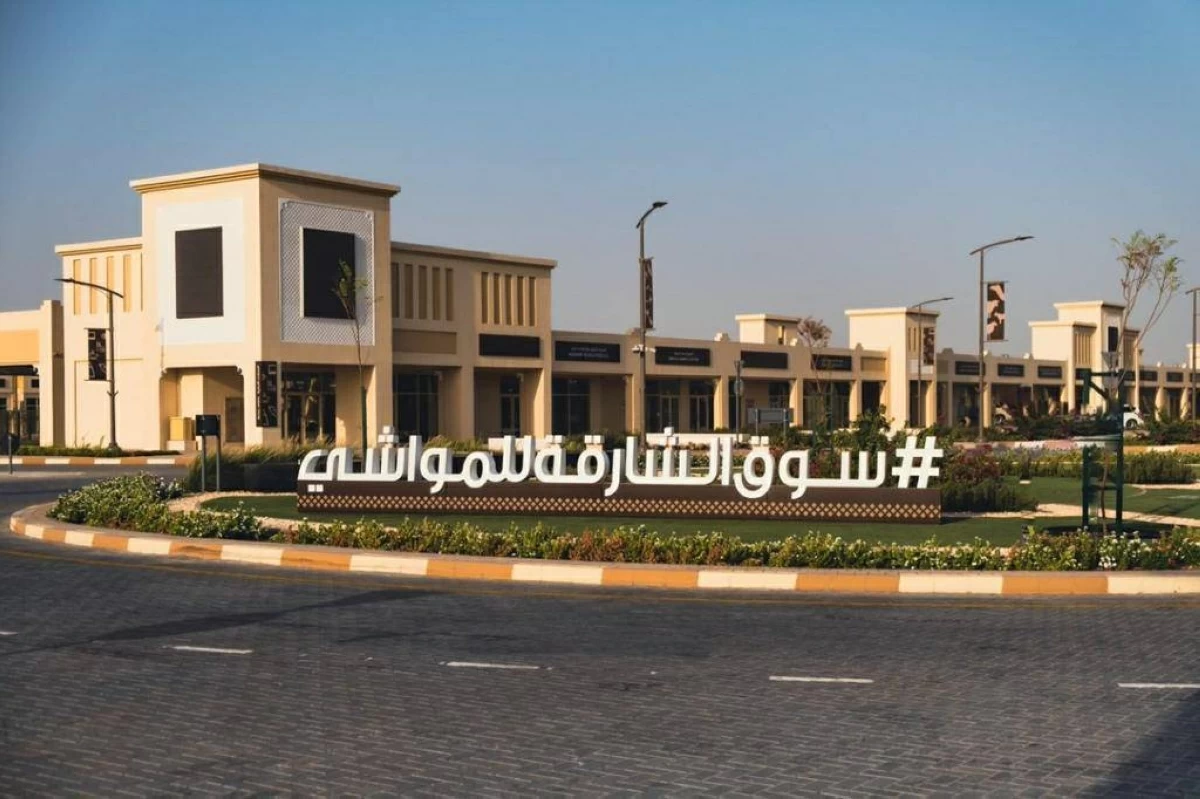 سوق الشارقة للمواشي