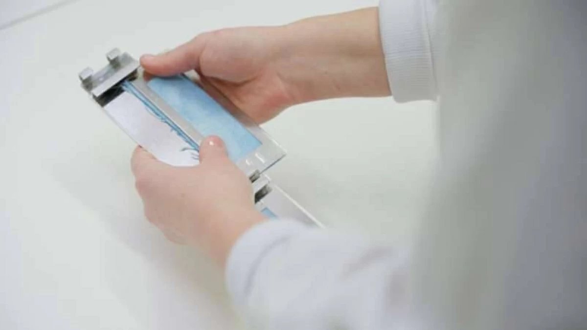 أصباغ مستدامة للمنسوجات من الطحالب #صحيفة_الخليج 