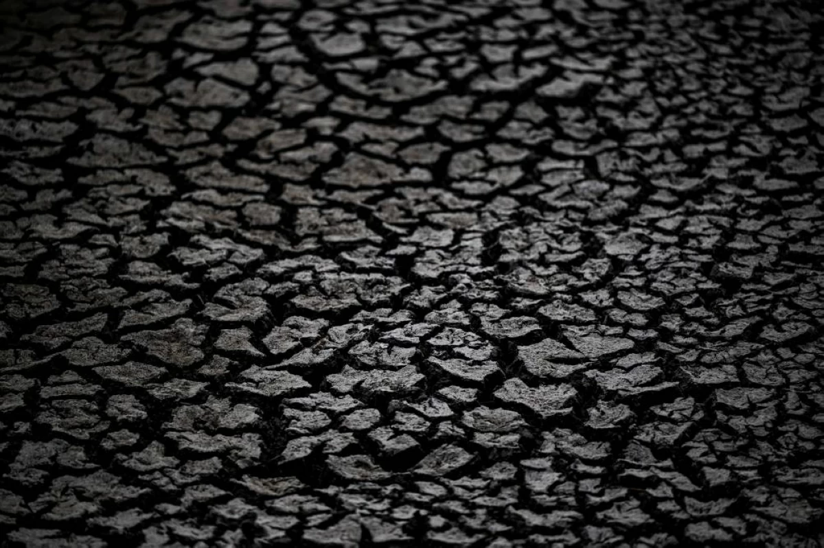 جفاف يلتهم بحيرة «فيلينس» المجرية