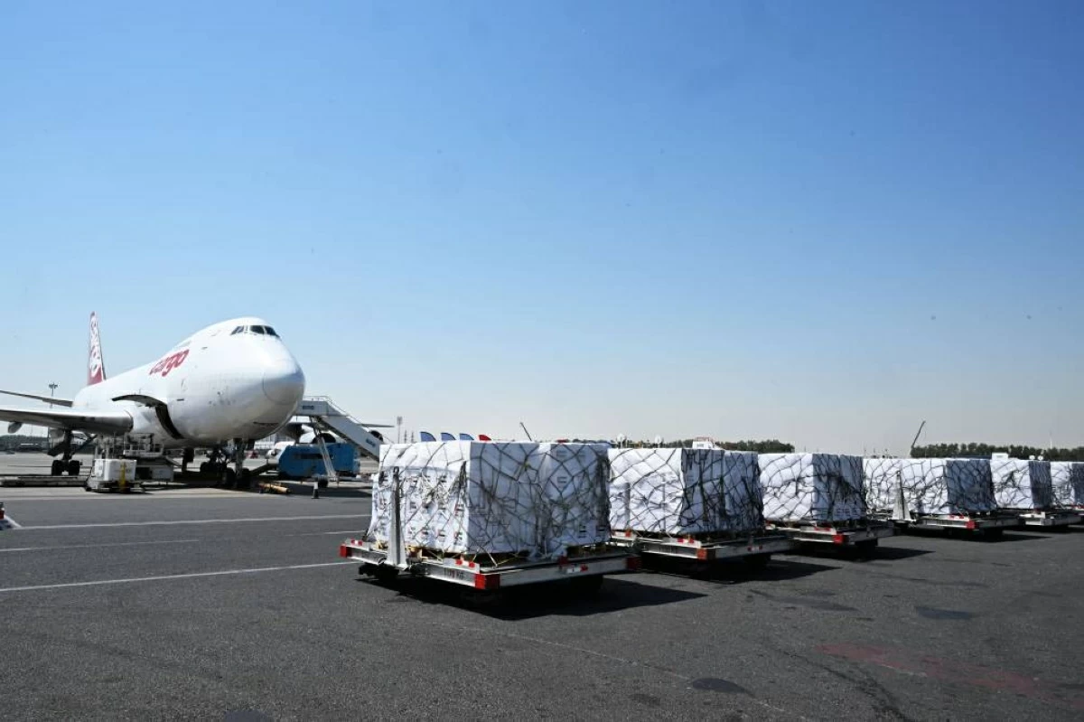 الإمارات تغيث غزة بـ 100 طن مواد غذائية