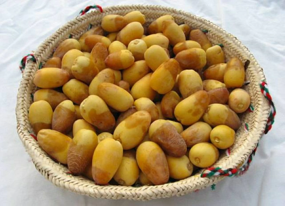 «موسم الرطب».. البشائر تزين صيف الإمارات