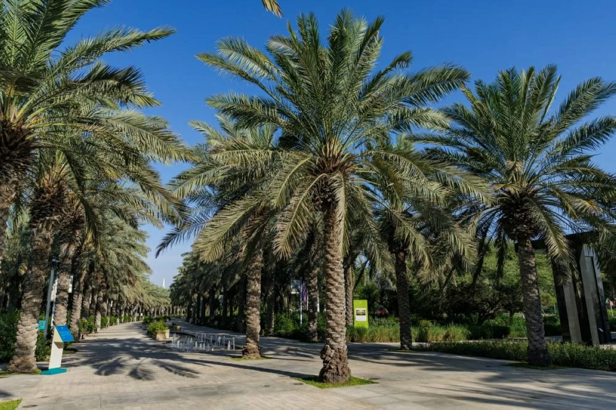 حديقة أم الإمارات تدعم «نخلة البيت» صوناً للإرث البيئي والثقافي