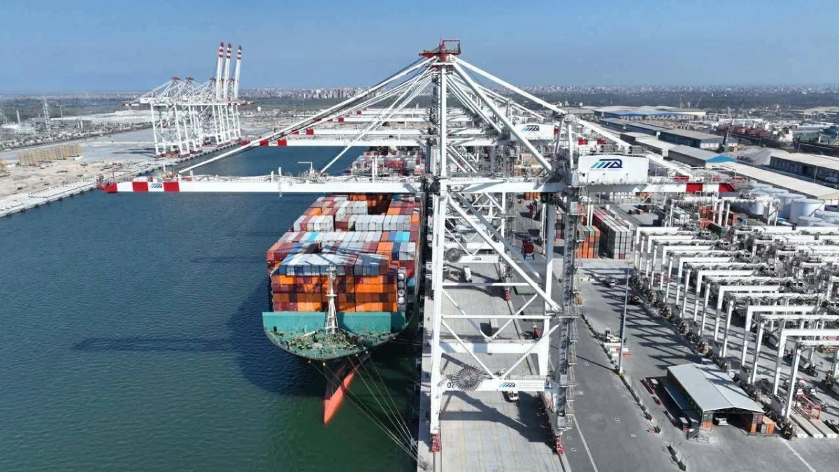 الصادرات الزراعية المصرية تتجاوز 5.8 مليون طن