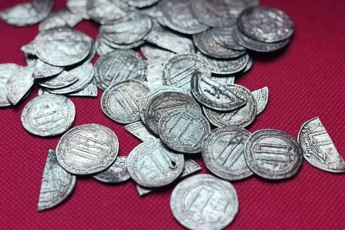 مجموعة الدراهم المكتشفة