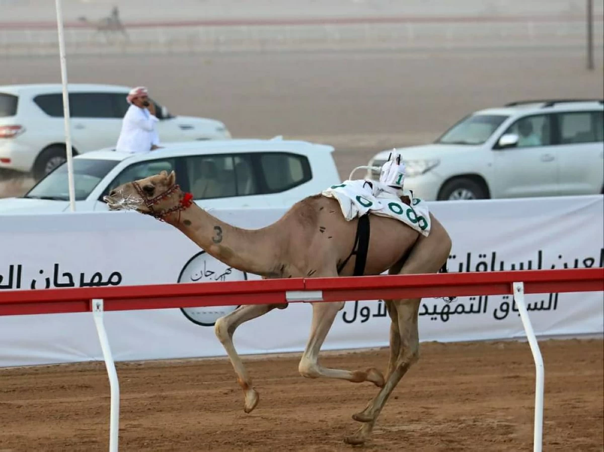 السباق التمهيدي الثاني في مهرجان العين لسباقات الهجن ينطلق 31 يوليو