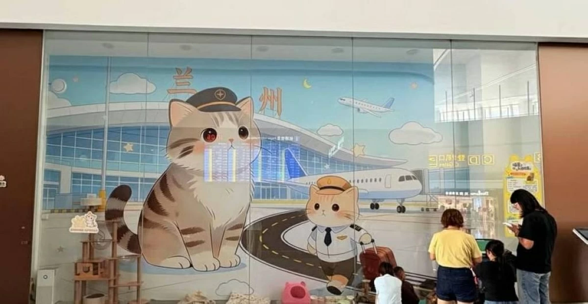 مسافرون يداعبون القطط بمكتب مكافحة الفئران
