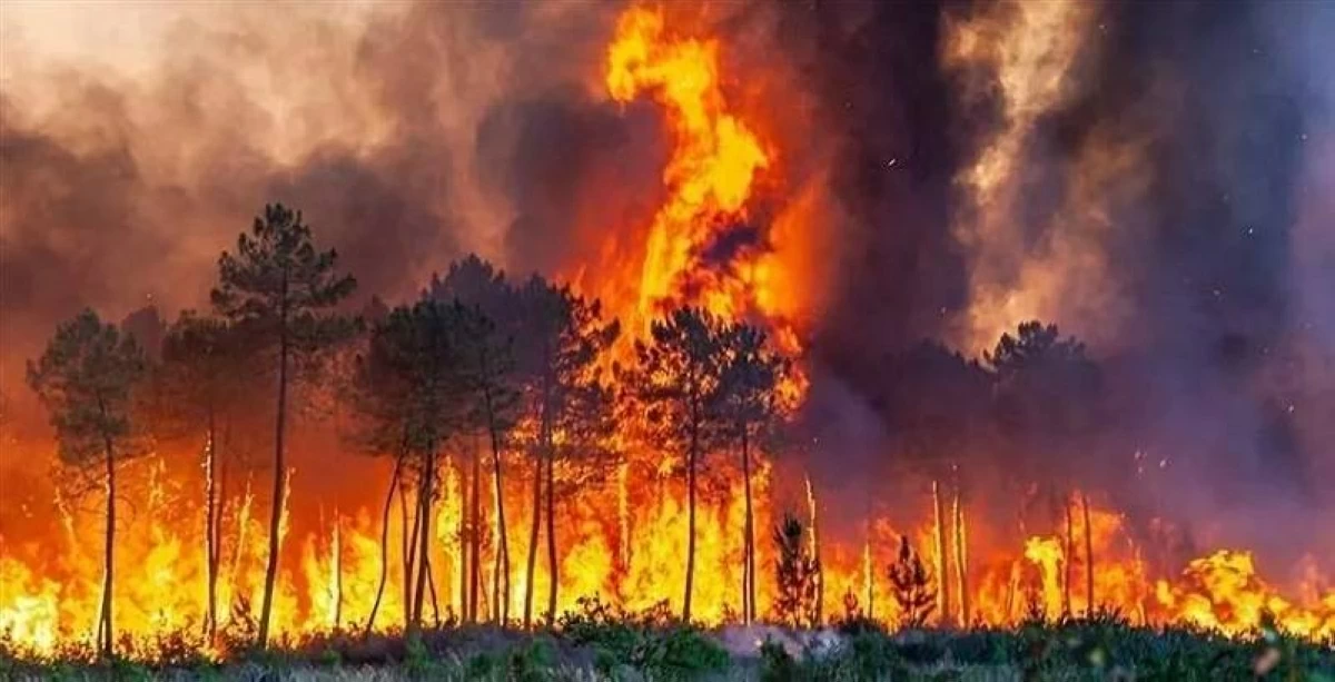 بعد أيام من المكافحة.. السيطرة على حريق متنزه «موريتس» الوطني في ألمانيا
