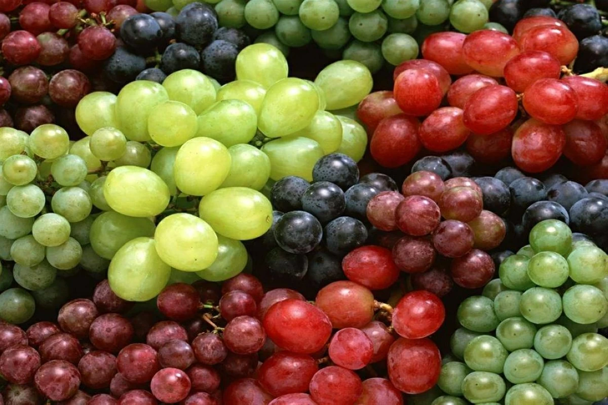 العنب ألوان متعددة وفوائد جمة