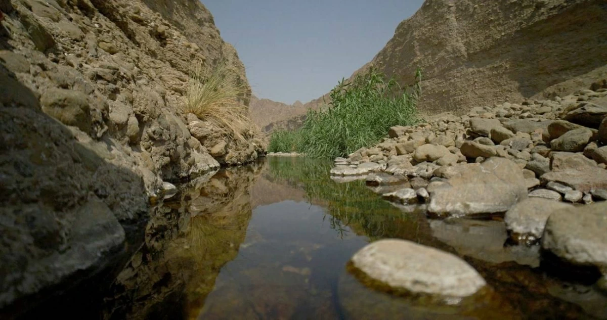 إدراج محمية وادي الوريعة في الفجيرة على قائمة اليونسكو