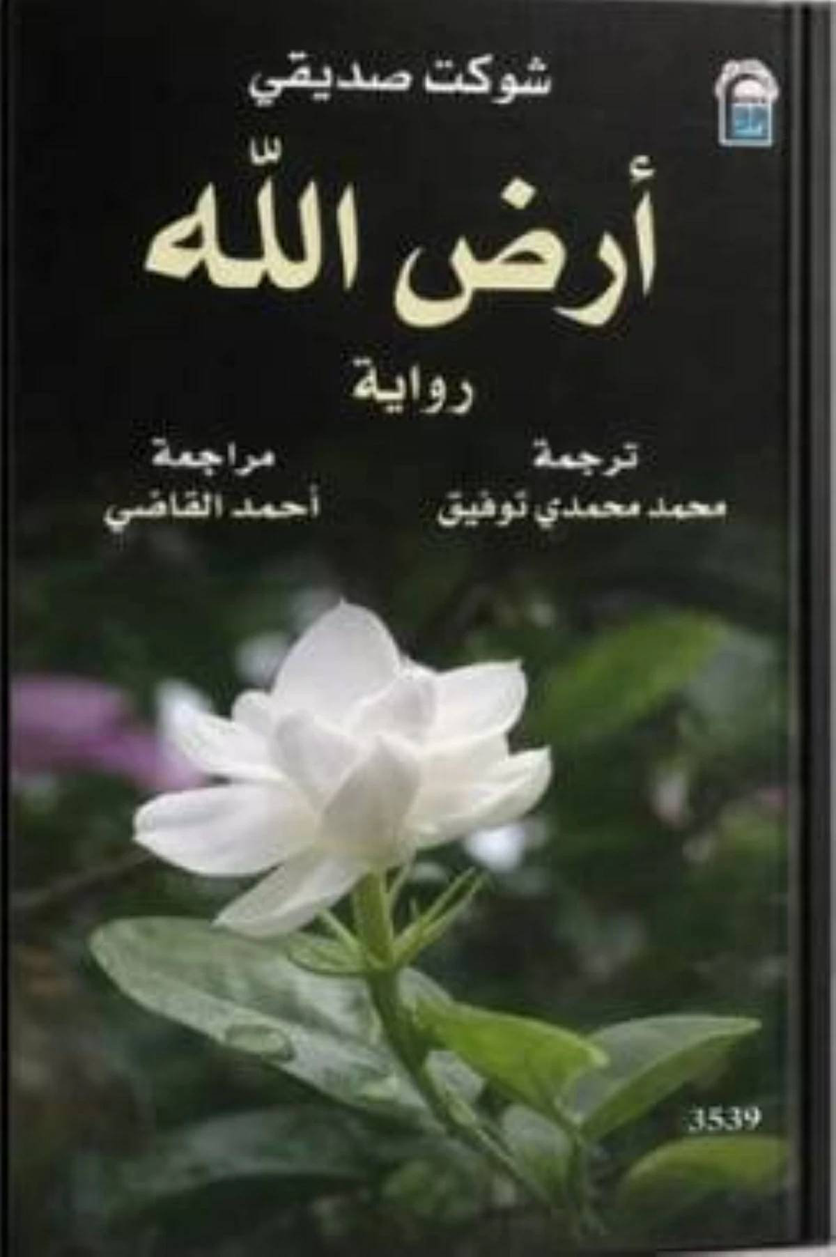 أرض واحدة وحكايات لا تنسى في رواية باكستانية