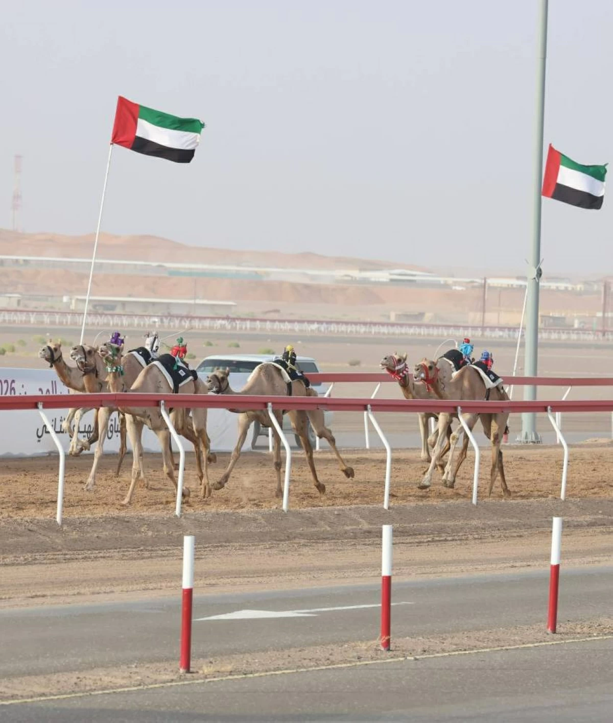 «نور» و«غازي» يتألقان بالصدارة و«أفضل توقيت» في «الثنايا» بمهرجان العين