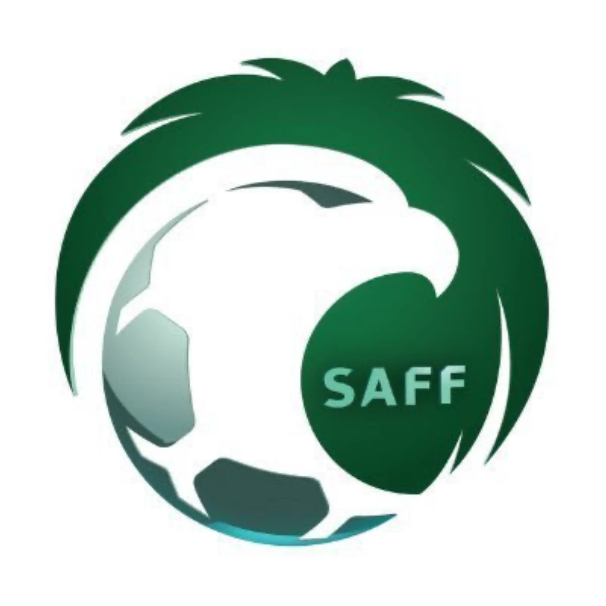 ينتظر الإعلان الرسمي.. الرزيزاء يقترب من رئاسة الاتحاد السعودي لكرة القدم