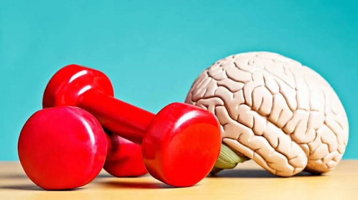 8 عادات بسيطة لحماية الذاكرة وصحة الدماغ