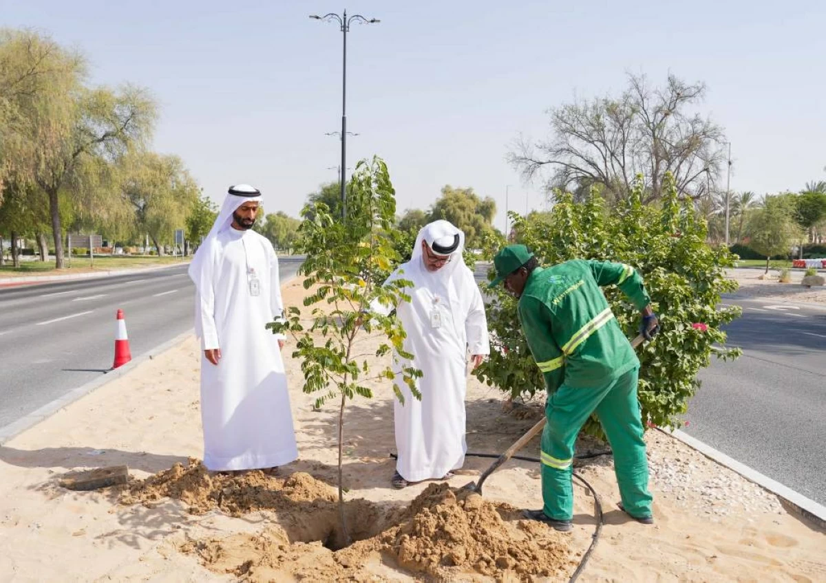 بلدية الظفرة تُجمّل الجزر الوسطية في مدينة زايد