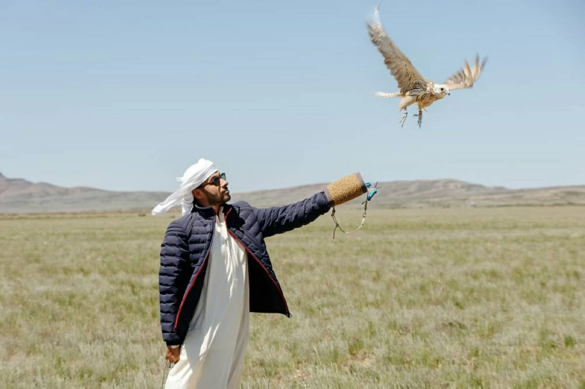 برنامج الشيخ زايد لإطلاق الصقور يعيد 2400 صقر إلى البرية منذ 1995