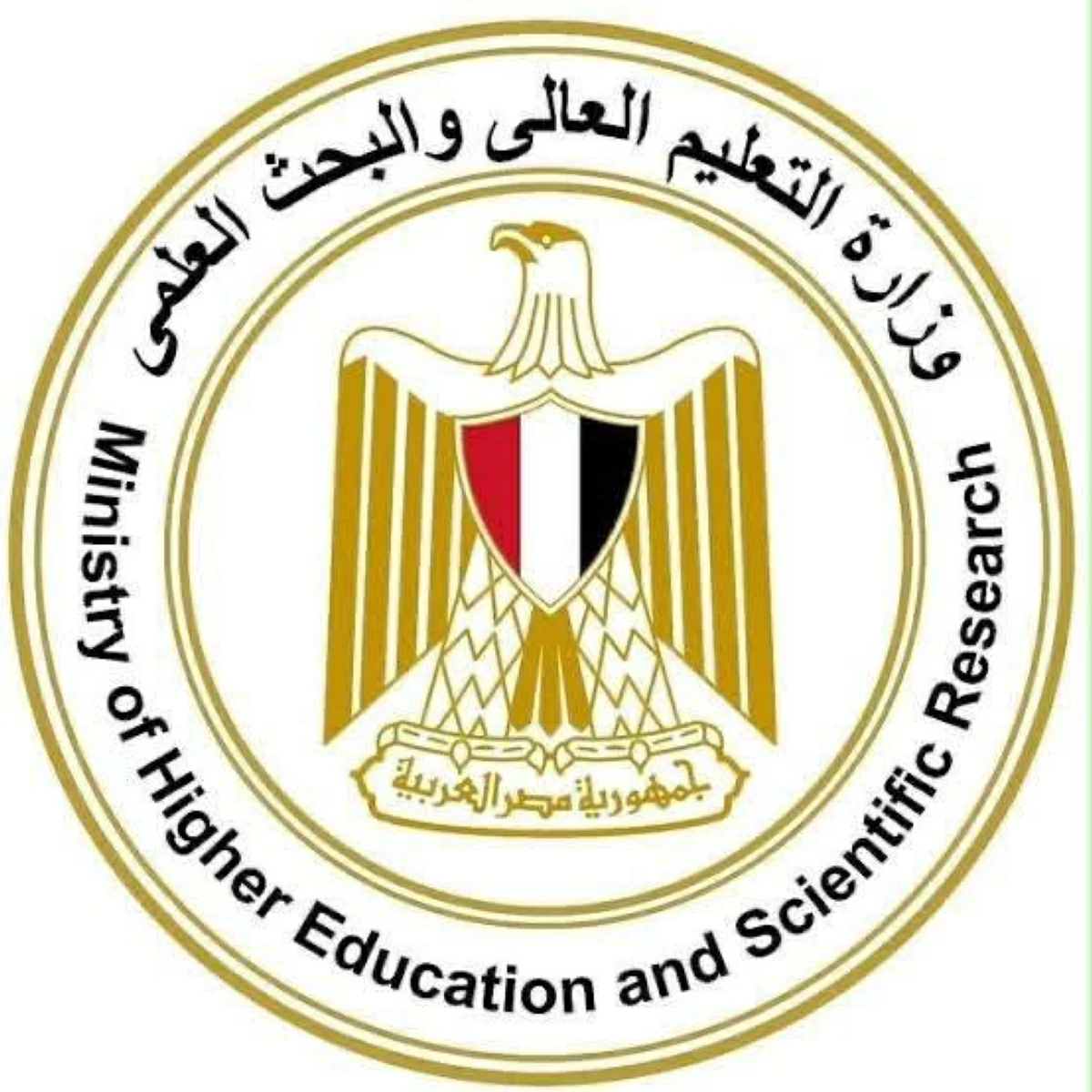 نتيجة تنسيق المرحلة الثانية 2026 بمصر.. رابط الاستعلام وخطوات معرفة الكلية