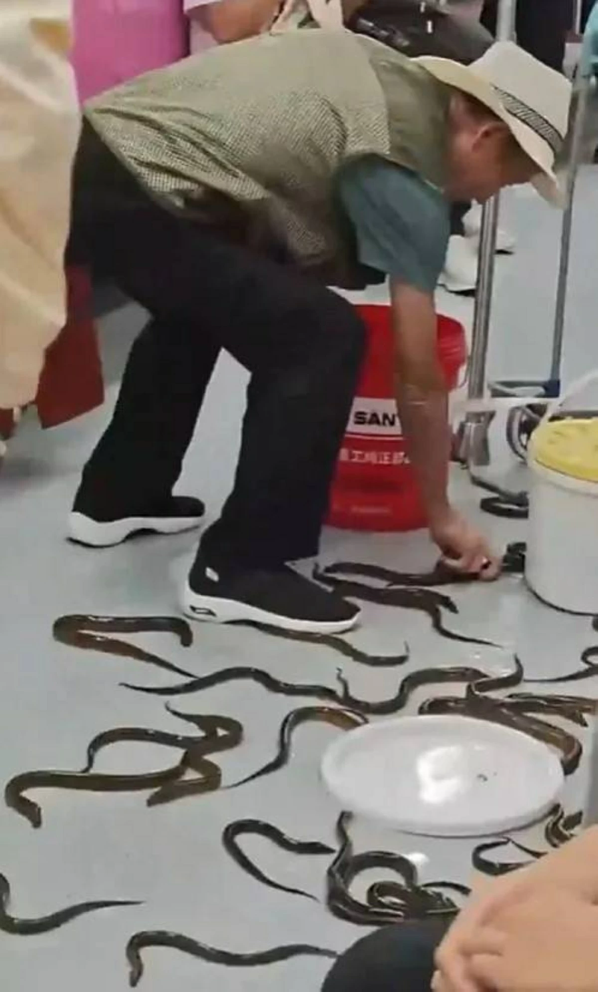 أسماك أنقليس تثير فوضى بين ركاب مترو بالصين
