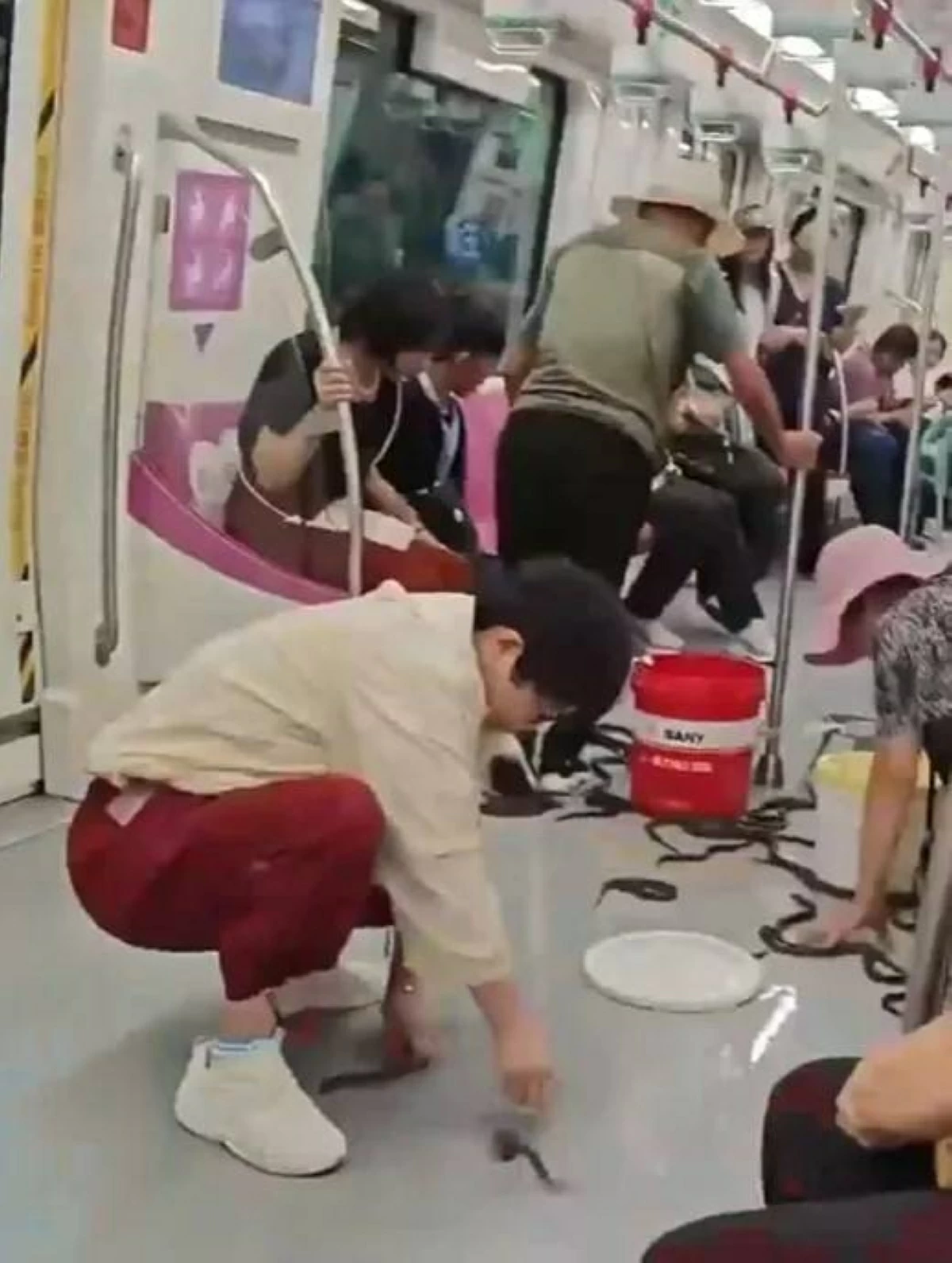 أسماك أنقليس تثير فوضى بين ركاب مترو بالصين