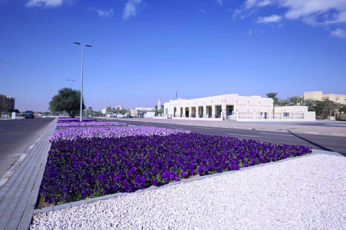 في لوحة جمالية متجددة.. العين تزدان بـ 99 مليون زهرة سنوياً