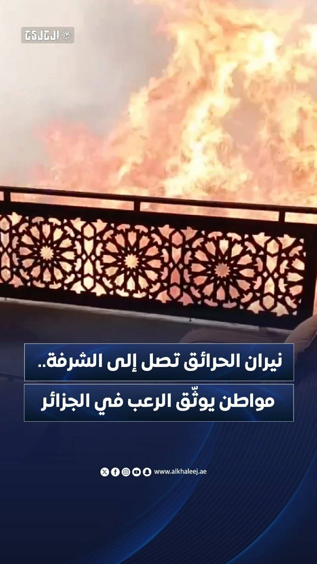 نيران الحرائق تصل إلى الشرفة.. مواطن يوثّق الرعب في الجزائر
