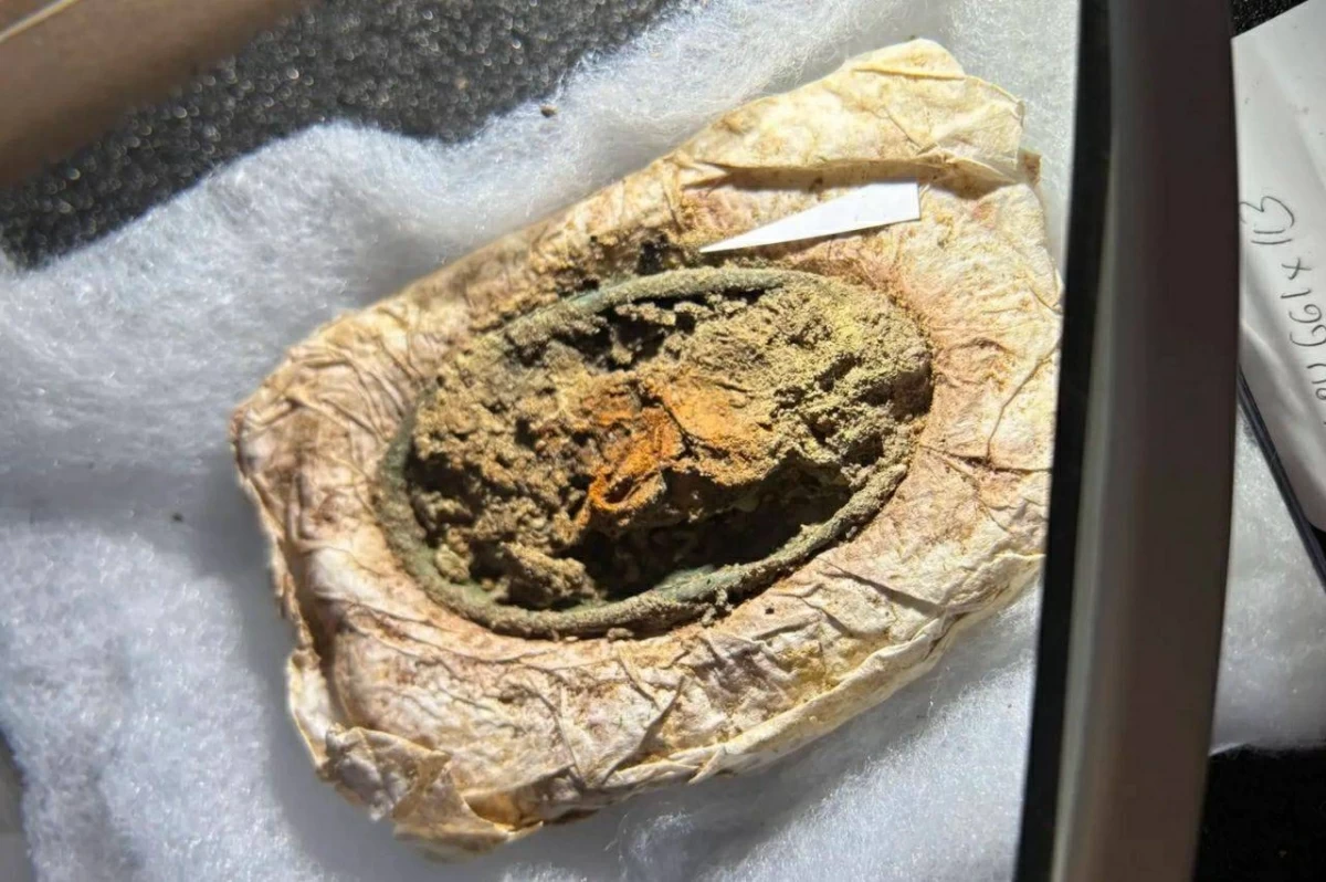 قطعة القماش