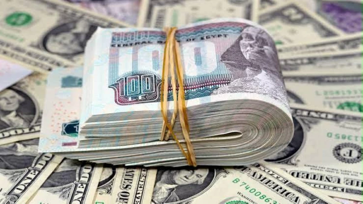 قفزة مفاجئة بـ60 قرشاً.. لماذا ارتفع سعر الدولار أمام الجنيه المصري؟