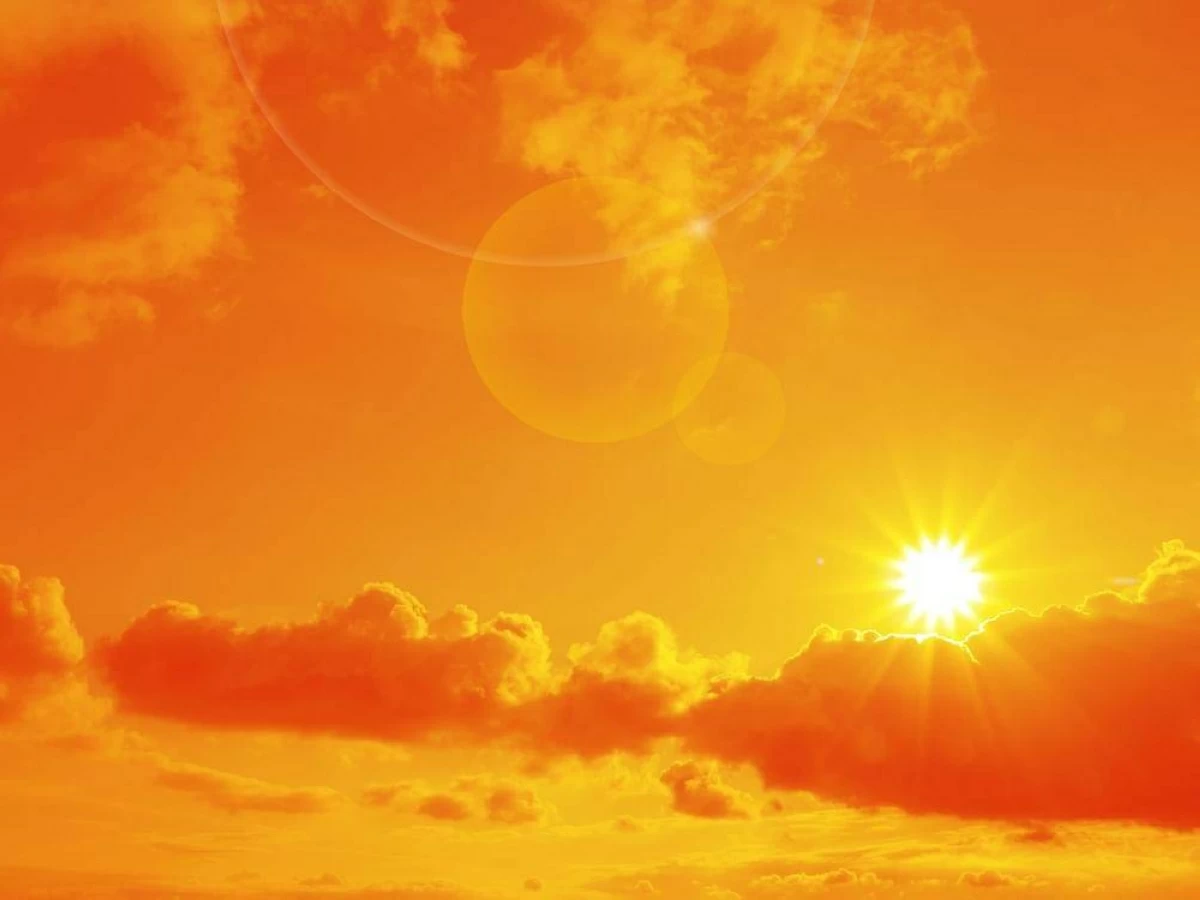 646 وفاة بسبب موجة الحر في النمسا