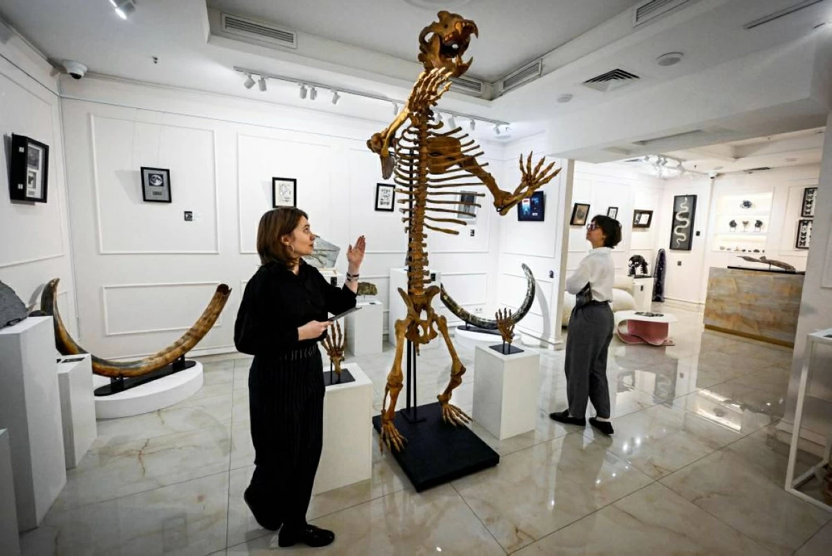 موظفتان بالمعرض تفحصان هيكلاً عظمياً لدب الكهف، الذي يزيد عمره على 12 ألف سنة (أ.ف.ب)