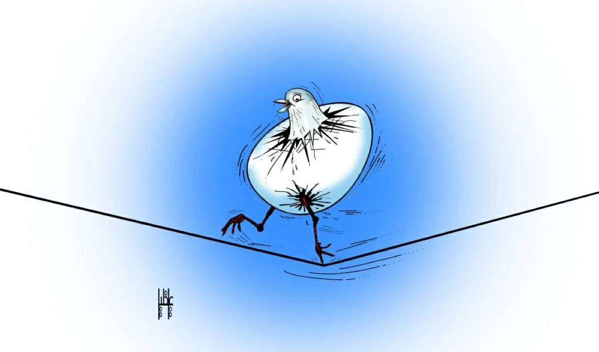 علي خليل