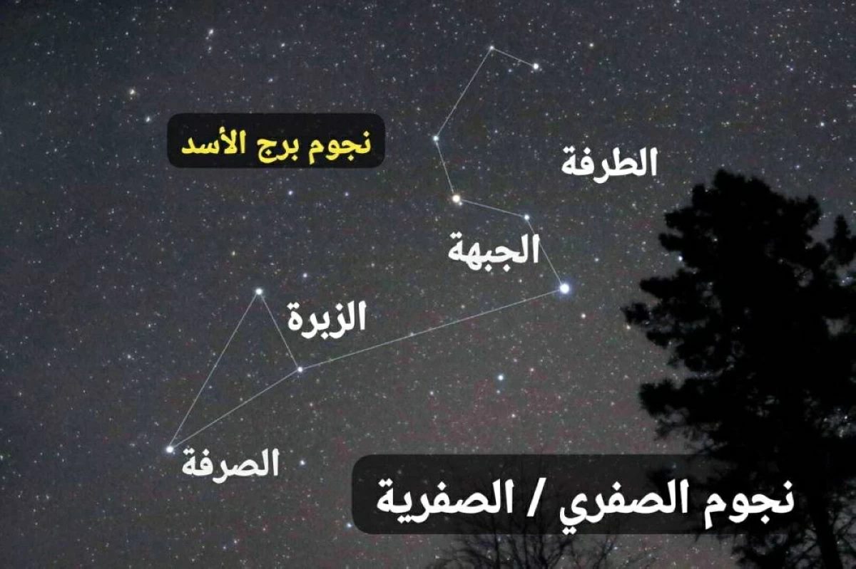 «الإمارات للفلك»: موسم الصفرية يبدأ 6 سبتمبر