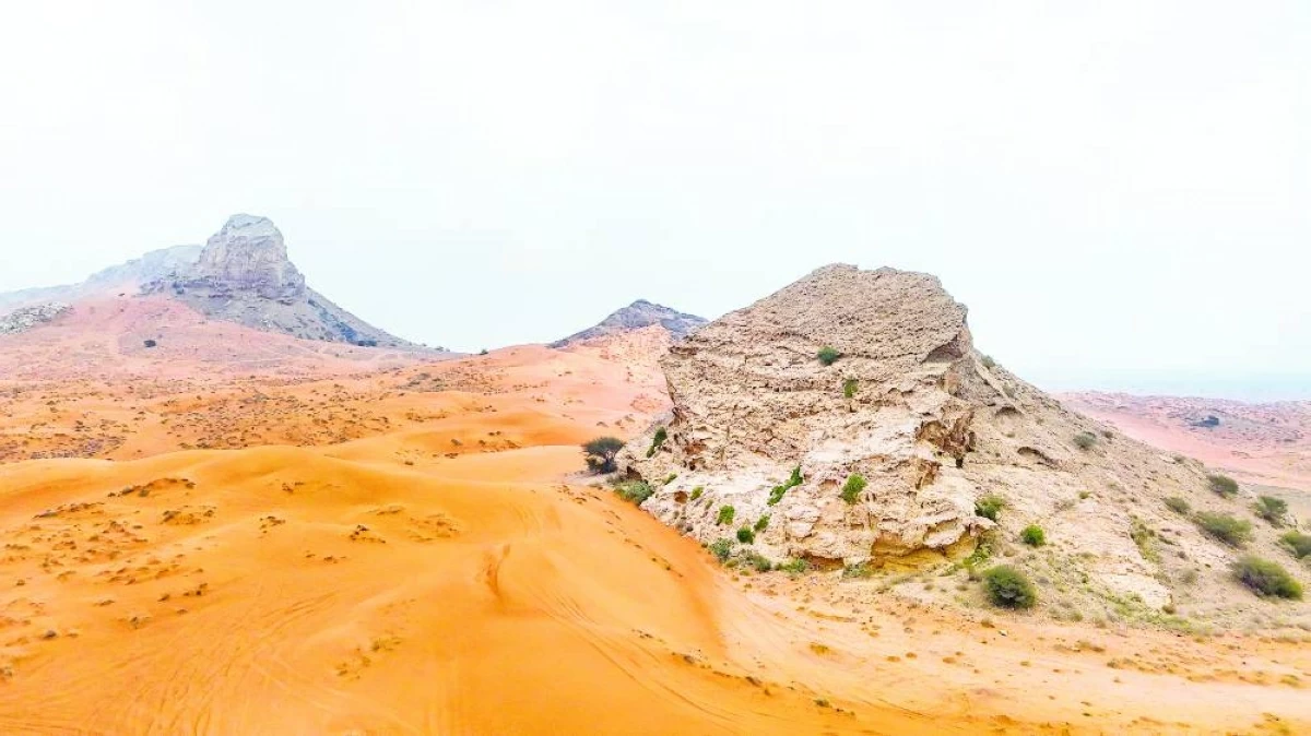 الشارقة تاريخ حضاري يمتد عبر العصور