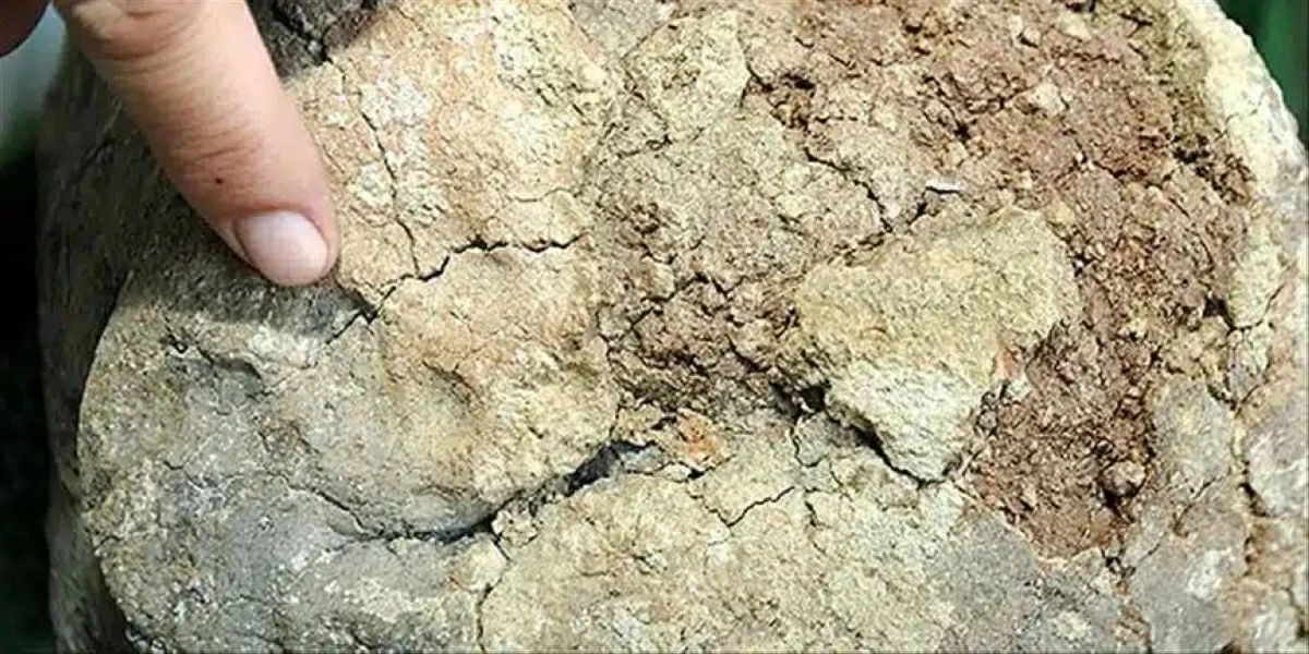 بعض الآثار