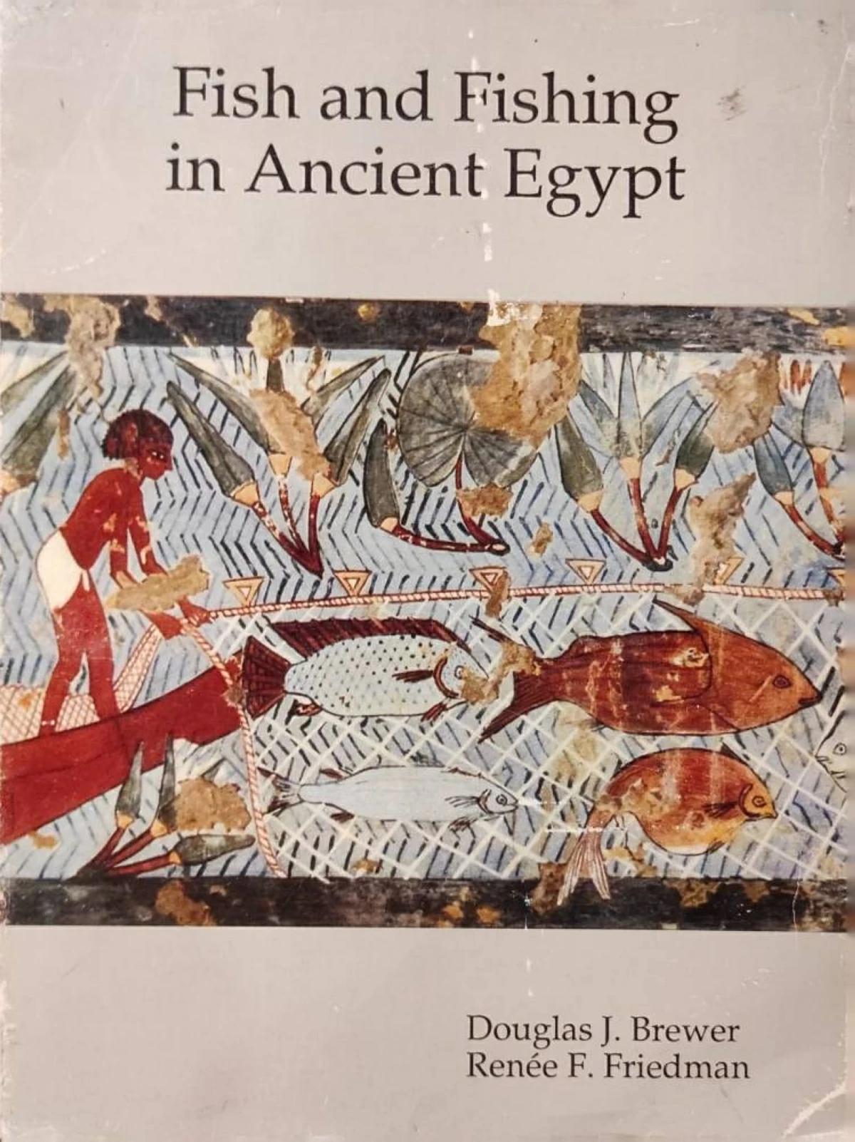 المصري القديم..حياة مرسومة بماء النيل