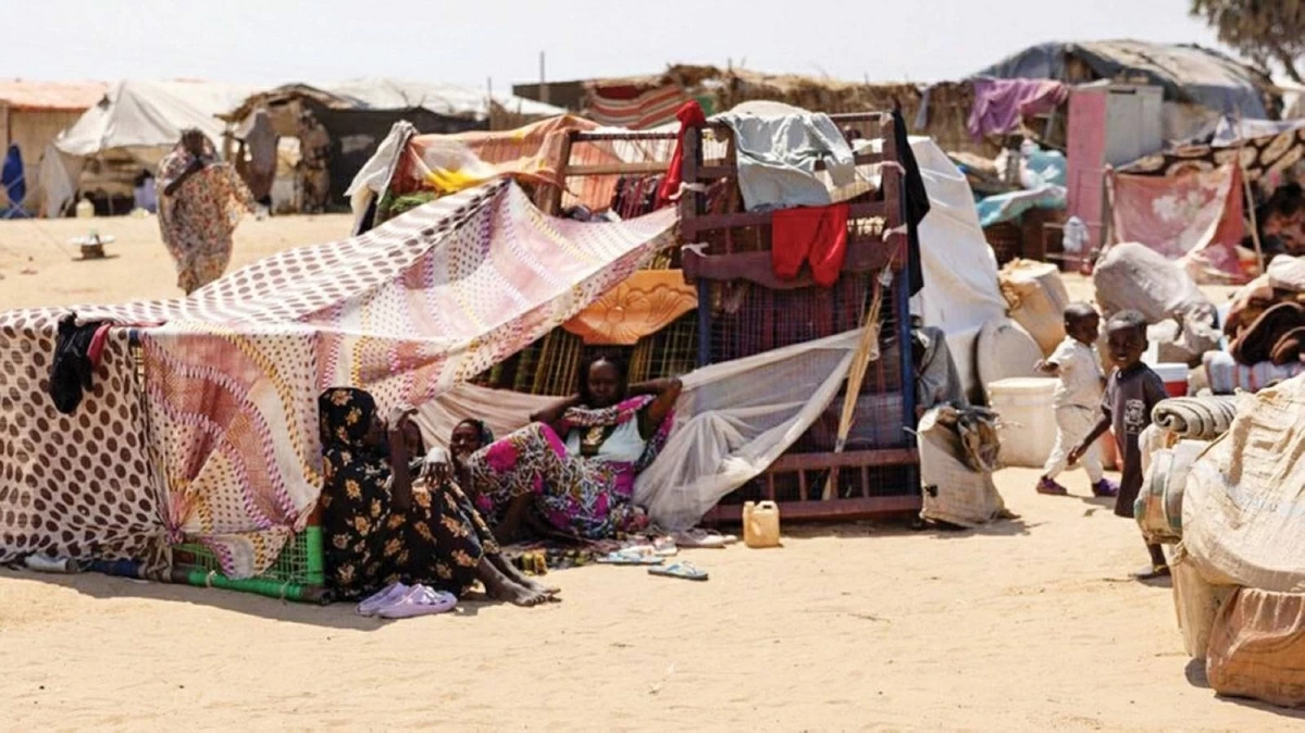 الإمارات تدعو لتوسيع حظر السلاح في السودان