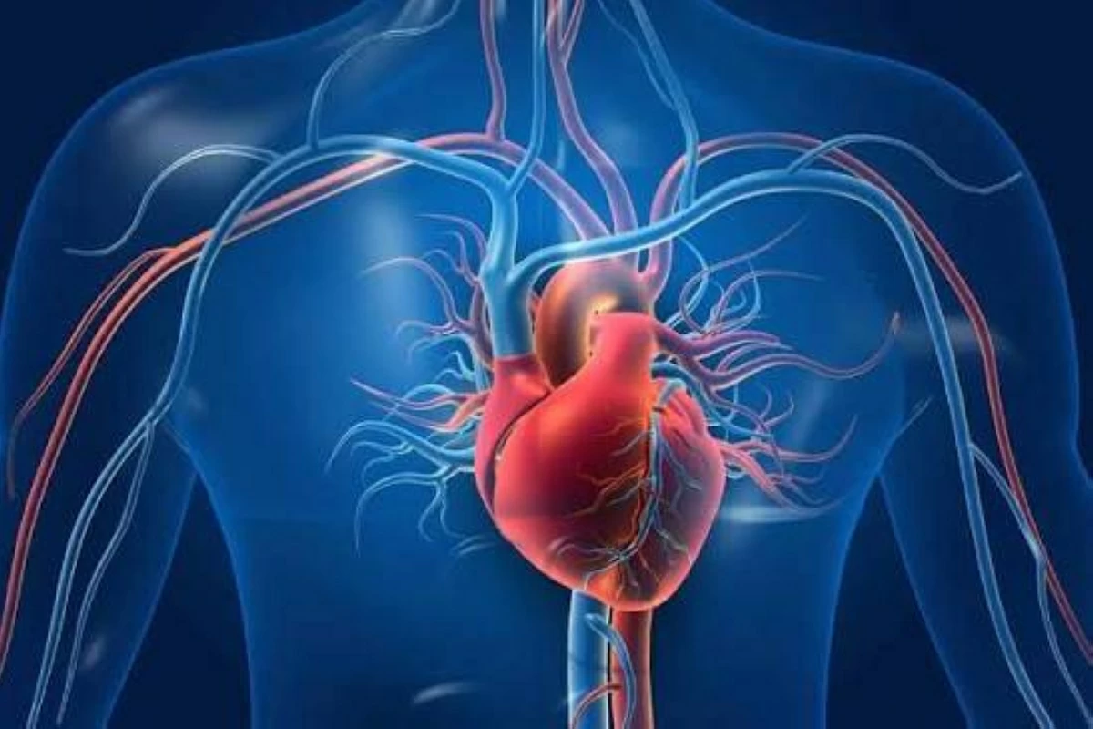 مؤشرات مبكرة لأمراض القلب لدى الأطفال