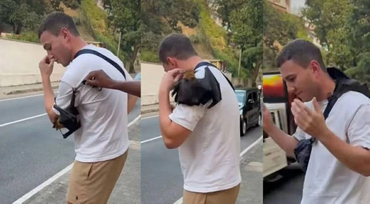 خفاش يلتصق بسائح في سريلانكا