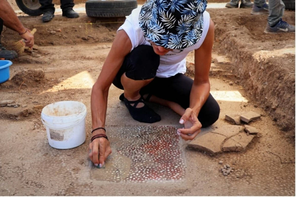 عالمة الآثار تزيح الغبار عن أرضية فسيفسائية 