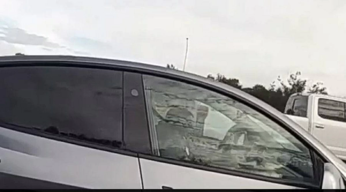 السائق نائم أثناء القيادة