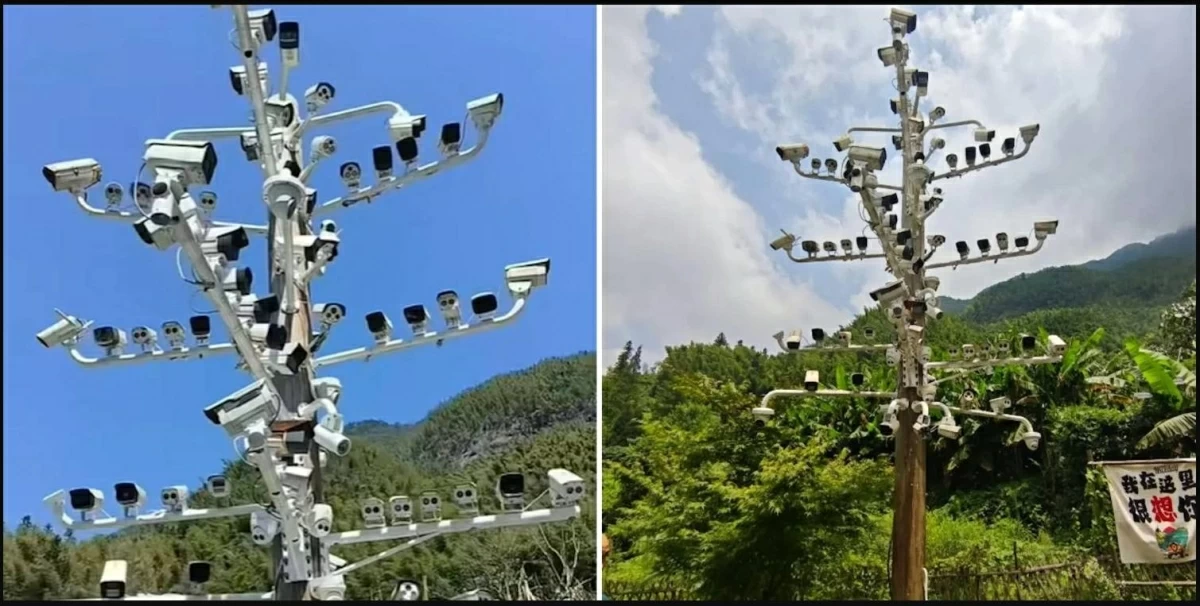 الكاميرات