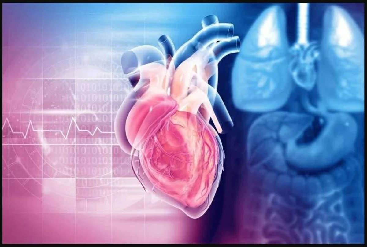 مستشعر أصغر من حبة الأرز يرصد إشارات القلب