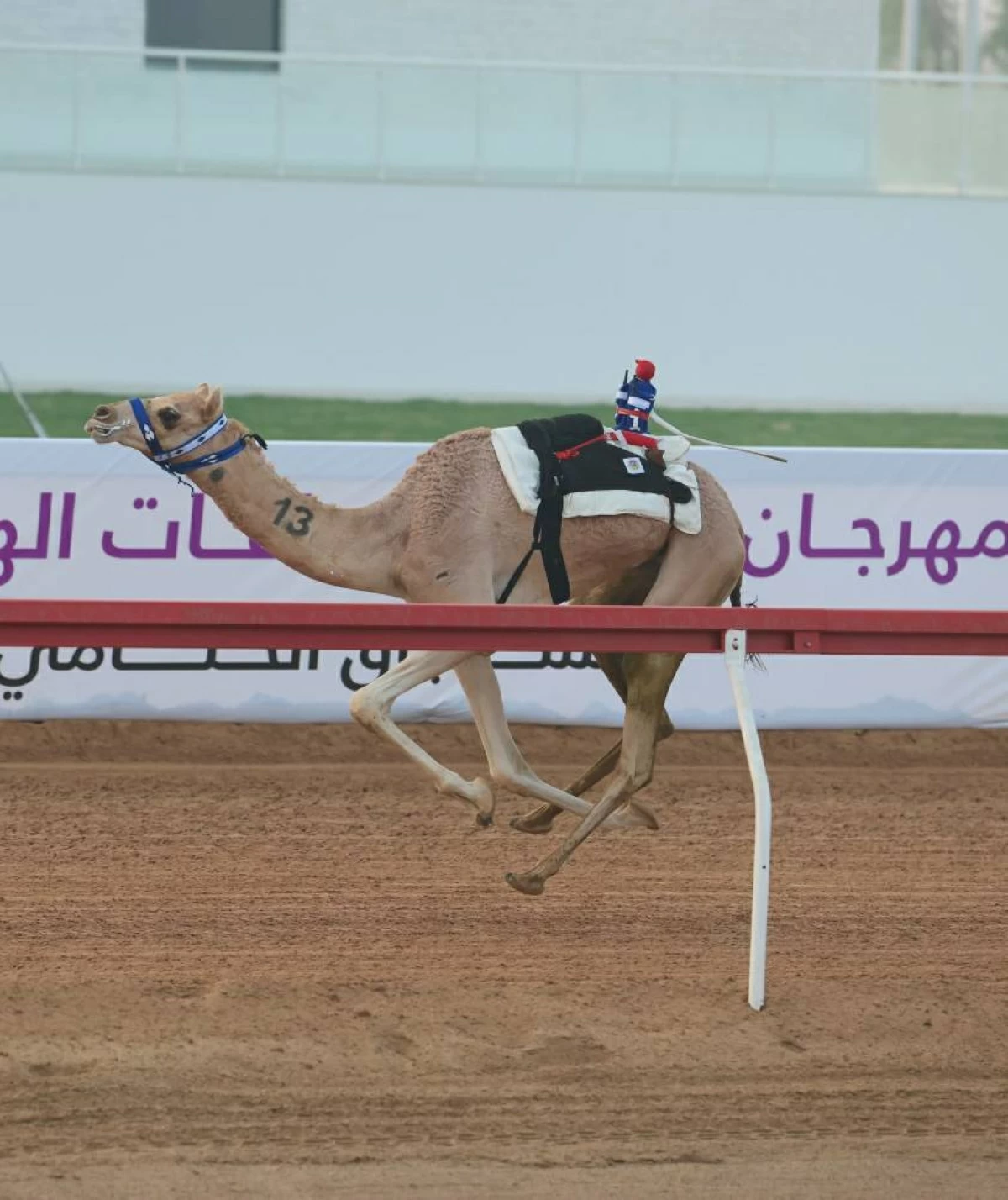 من منافسات السباق