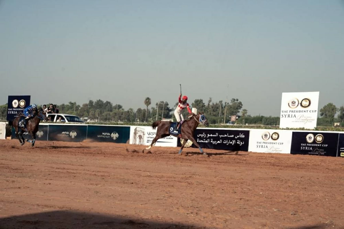 الجواد الفائز في طريقه إلى خط النهاية