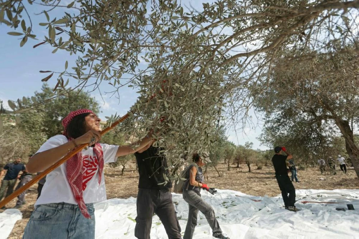 Photo: صحيفة الخليج Israel Searches Western Galilee After Unidentified Aerial Object Crosses Border