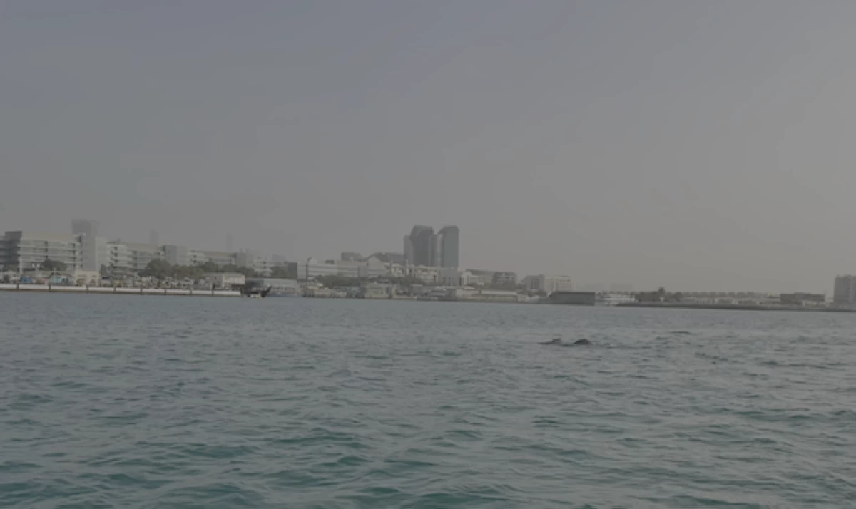 دراسة لـ«السوربون أبوظبي» عن الحمض النووي البيئي في النظم الساحلية