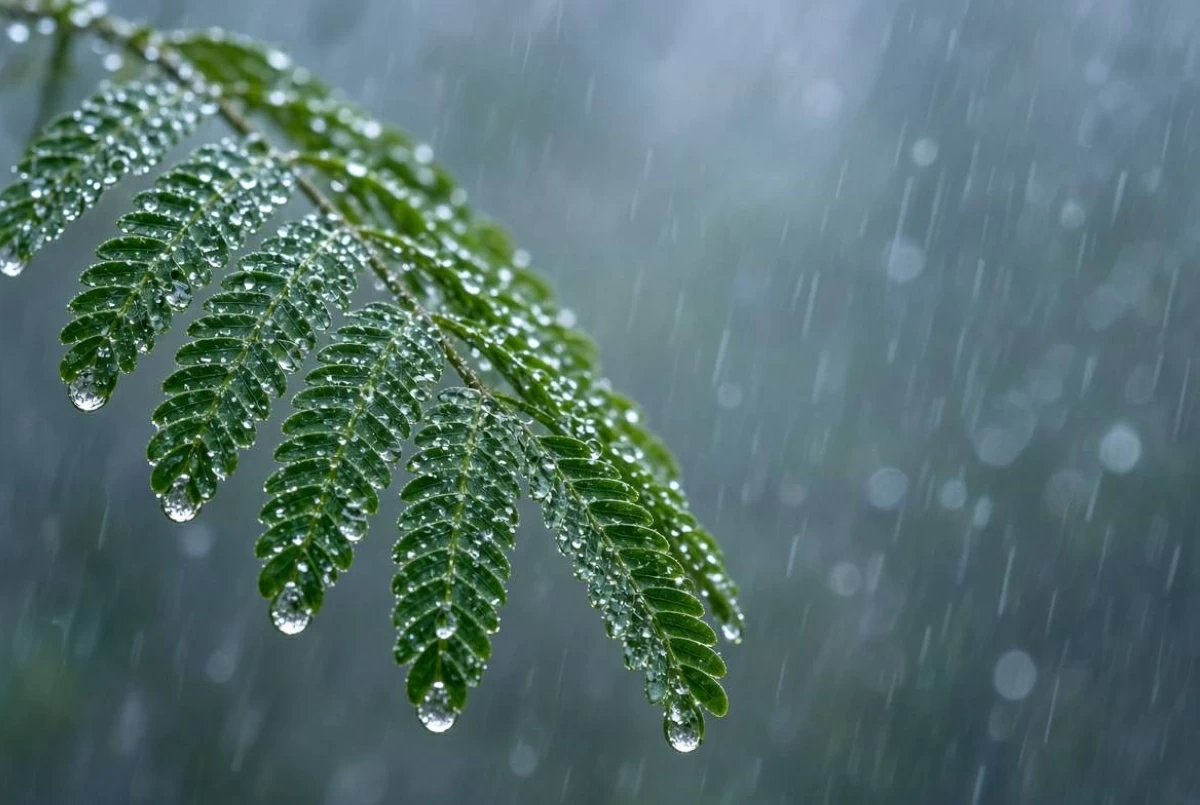 المغرب يحذر من أمطار رعدية قوية.. المناطق المشمولة وموعد انتهاء التنبيه