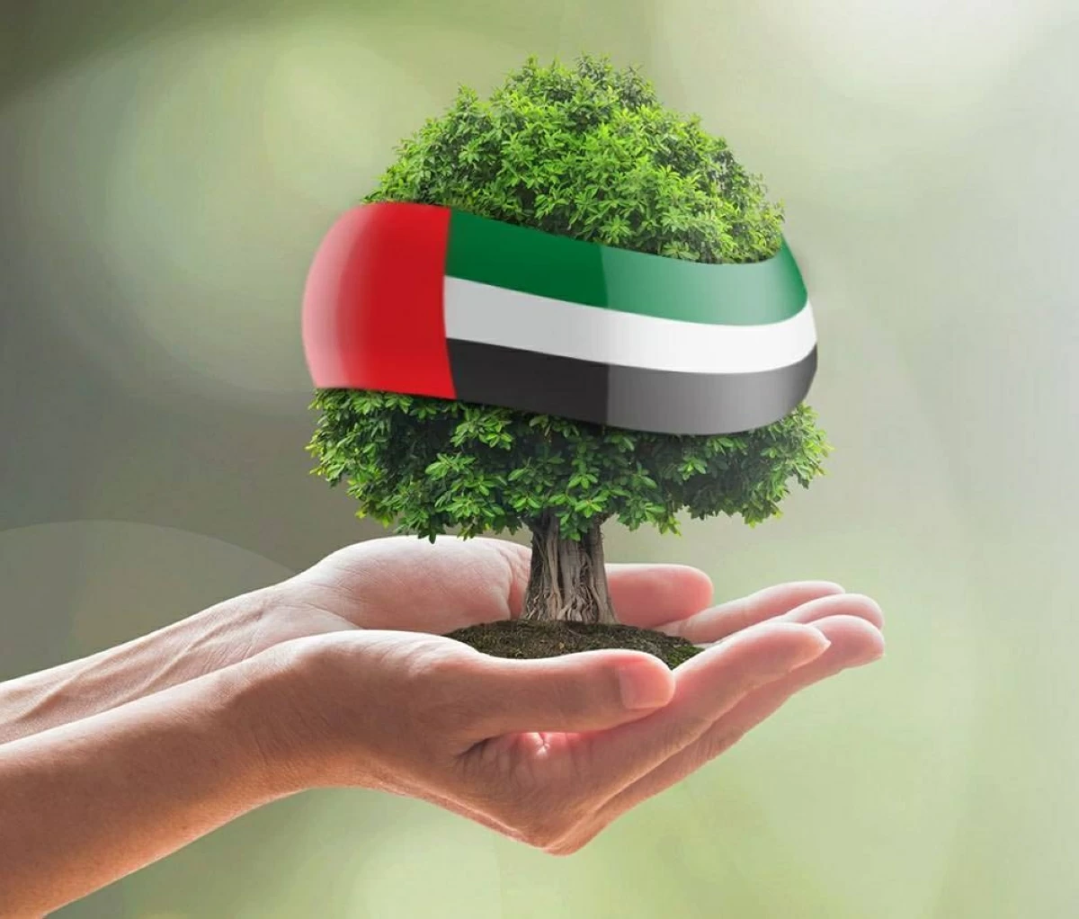 تعرفوا إلى آلية تعزيز جاهزية الدولة لمخاطر الكوارث الطبيعية
