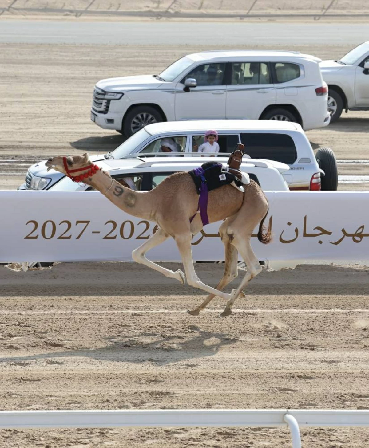 «مليحة» و«مرعوش» يحصدان كأس وبندقية مهرجان الظفرة