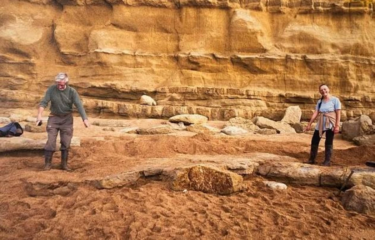 السائحان في منطقة الاكتشاف